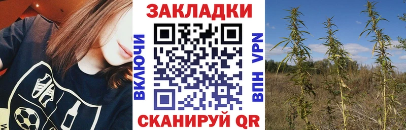 Купить закладку Cocaine  Амфетамин  МАРИХУАНА  Мефедрон  APVP  Почеп