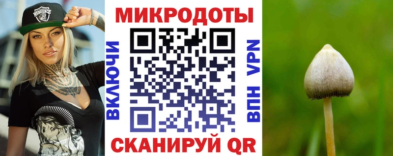 Купить где  Почеп  Псилоцибиновые грибы мицелий 